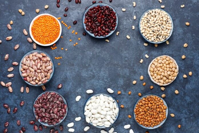 High protein seeds High protein seeds